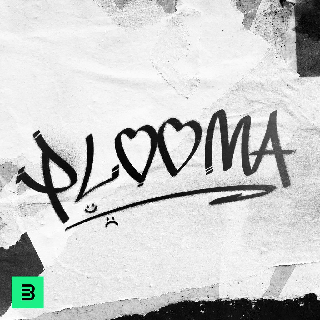 Artwork for Plooma